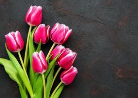 tulipanes de primavera rosa foto