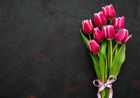tulipanes de primavera rosa foto