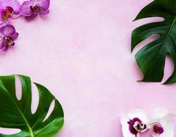 Tropical leaves monstera and orchid flowers photo