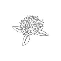 One continuous line drawing beauty fresh flowering plant for garden logo. Printable decorative ixora flower concept for home decor wall art poster. Modern single line draw design vector illustration