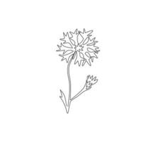 Un dibujo de línea continua de Beauty Fresh Centaurea Cyanus para decoración del hogar Impresión de póster de arte de pared. concepto de aciano decorativo para tarjeta de invitación. Ilustración de vector de diseño de dibujo de línea única de moda