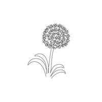 Single continuous line drawing beauty fresh allium giganteum for home decor wall art poster print. Decorative globemaster flower for floral card frame. Modern one line draw design vector illustration