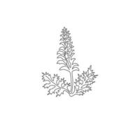 Single continuous line drawing of beauty fresh bear's breeches for garden logo. Decorative acanthus flower concept for floral invitation card frame. Modern one line draw design vector illustration