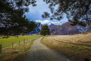 castle hill most popular traveling destination in arthur's pass national park south island new zealand photo