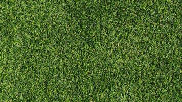 Green Grass Texture