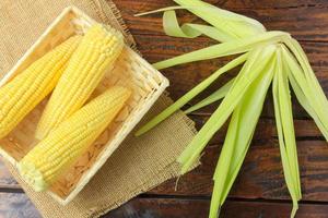 Mazorca de maíz crudo, dentro de la canasta, cosechado en la plantación, sobre la mesa de madera rústica. espacio para texto foto