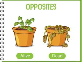 Opposite words with alive and dead vector