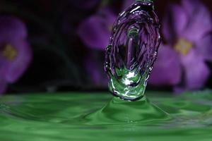 splash resulting from the impact of a drop with a container full of water photo