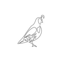 One continuous line drawing of cute California quail for farm logo identity. Highly sociable bird mascot concept for national park icon. Modern single line draw design graphic vector illustration