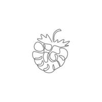 One continuous line drawing of whole healthy organic raspberry for orchard logo identity. Fresh berry fruitage concept for fruit garden icon. Modern single line draw design vector graphic illustration
