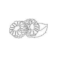 One single line drawing of half sliced healthy organic raspberry for orchard logo identity. Fresh berries fruitage concept for fruit garden icon. Modern continuous line draw design vector illustration