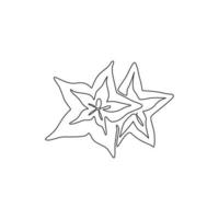 Single continuous line drawing of whole healthy organic starfruit for orchard logo identity. Fresh star fruit concept for garden icon. Modern one line draw graphic design vector illustration