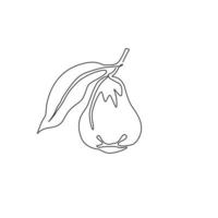 un dibujo de una sola línea de una fruta de campana orgánica y saludable para la identidad del logotipo de la huerta. concepto de fruitage de manzana rosa fresca para icono de jardín de frutas. Ilustración de vector de diseño de dibujo de línea continua moderna