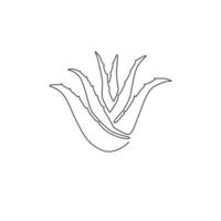 One single line drawing of healthy organic green aloe vera for farm logo identity. Fresh tropical succulent plant concept for agricultural icon. Modern continuous line draw design vector illustration