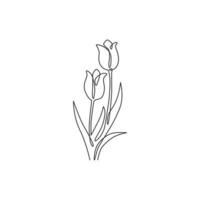 un dibujo de línea continua de tulipán fresco de belleza para el logotipo. Póster imprimible decorativo holandés nacionalidad flor concepto pared decoración del hogar art. Ilustración de vector de diseño de dibujo de línea única moderna