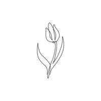 One single line drawing of beauty fresh tulip for garden logo. Decorative Holland nationality flower concept home wall decor poster print art. Modern continuous line draw design vector illustration