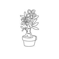 un dibujo de una sola línea de adenium en maceta de belleza fresca para el logotipo de jardín. Cartel imprimible decorativo concepto de flor de rosa del desierto para decoración del hogar de pared. Ilustración de vector de diseño de dibujo de línea continua