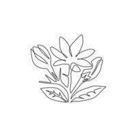 un dibujo de una sola línea de la belleza de la flor de jazmín de hoja perenne fresca para el logotipo del jardín. cartel decorativo imprimible jasminum para la decoración del arte de la pared del hogar. Ilustración de vector de diseño de dibujo de línea continua moderna