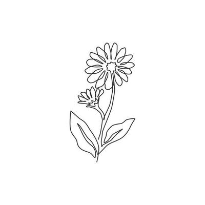 Calendula Vector Art, Icons, and Graphics for Free Download