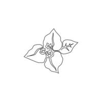 un dibujo de línea continua de buganvillas frescas de belleza para el logotipo del jardín. Concepto de flor de árbol espinoso decorativo imprimible para la decoración de la pared del hogar. Ilustración de vector de diseño de dibujo de línea única moderna