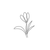 One single line drawing of beauty fresh croci for garden logo. Printable decorative crocus flower concept for home decor wall art print poster. Trendy continuous line draw design vector illustration