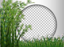 Bamboo trees with round frame vector