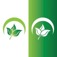 logotipos de la ecología de la hoja del árbol verde vector