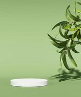 Showcase podium for natural cosmetic product. Empty scene with green leaves on monochrome background. 3d render photo