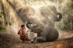 los elefantes en el bosque y mahout con bebé elefante estilo de vida de mahout en la aldea de chang, provincia de surin, tailandia. foto