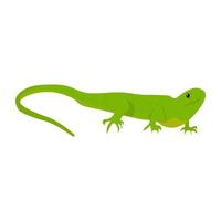 Trendy Lizard Concepts vector