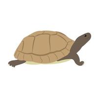 Trendy Turtle Concepts vector