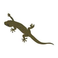 Trendy Skink Concepts vector