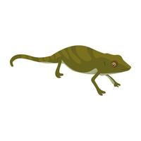 Trendy Amphibian Concepts vector