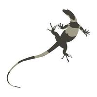 Agamidae Lizard Concepts vector