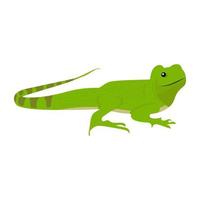 Trendy Chameleon Concepts vector