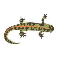 Trendy Skink Concepts vector