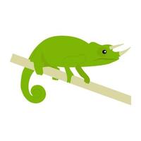 Trendy Chameleon Concepts vector