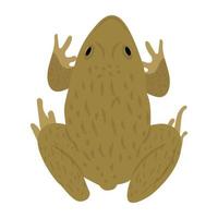 Trendy Frog Concepts vector