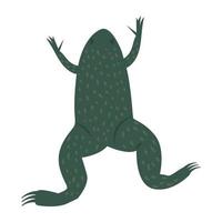 Trendy Frog Concepts vector