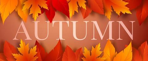 Plantilla de banner de temporada de otoño con hojas de otoño rojas, amarillas y naranjas sobre un fondo marrón. diseño de tarjetas de felicitación, publicidad, banner web, flyer. ilustración vectorial. vector