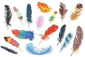 conjunto de elementos aislados de plumas. paquete de diferentes tipos de plumas de aves de colores brillantes de alas. caída de signos de plumaje multicolor. kit de creador para ilustración vectorial en diseño plano de dibujos animados vector