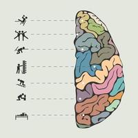 Funny concept of human brain vector