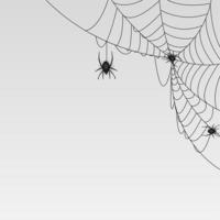 Web with spider background. Vector Illustration