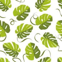 monstera leaf pattern, Palm Leaf Seamless Background. Vector illustration