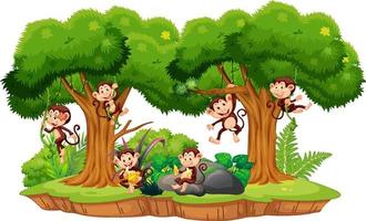 Isolated forest scene with naughty monkeys vector