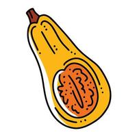 calabaza de nuez moscada, cucurbita moschata icono de vector de dibujos animados lineal en estilo doodle