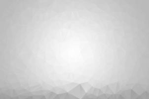 White Grey Low poly crystal background. Polygon design pattern. environment green Low poly vector illustration, low polygon background.