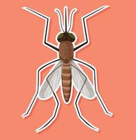 Top view of mosquito in cartoon style vector