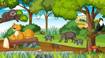 Forest at daytime scene with different wild animals vector