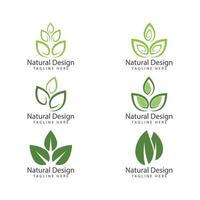 Leaf icon Vector Illustration design Logo template